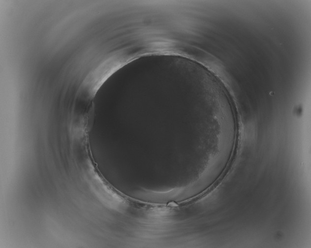 X0000111801385200908131426