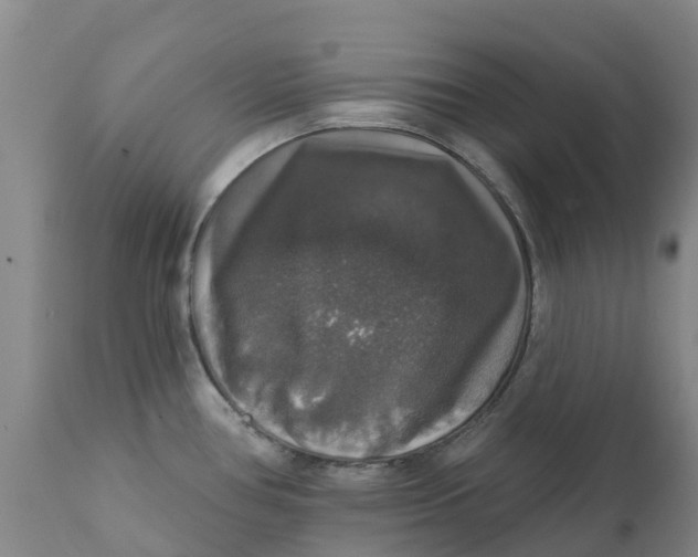 X0000111801386200908131426
