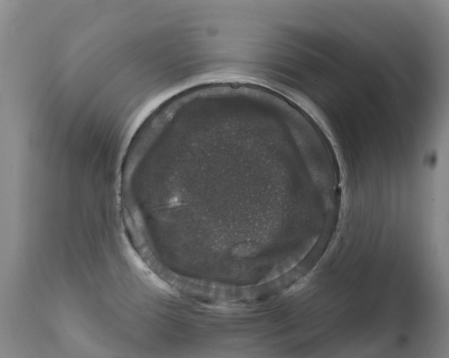 X0000111801388200908131426