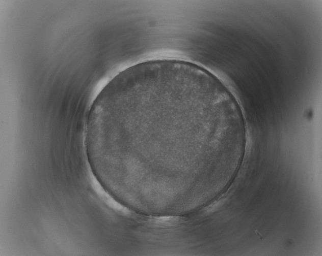 X0000111801390200908131426