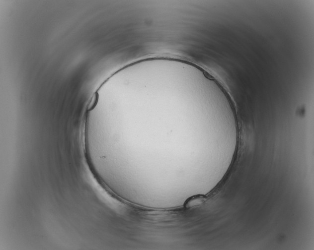 X0000111801391200908131426