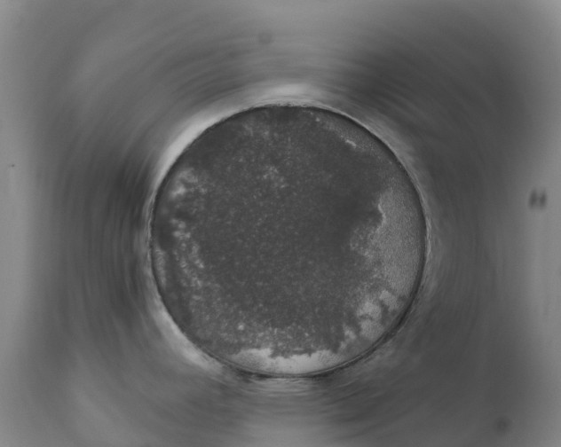 X0000111801392200908131426