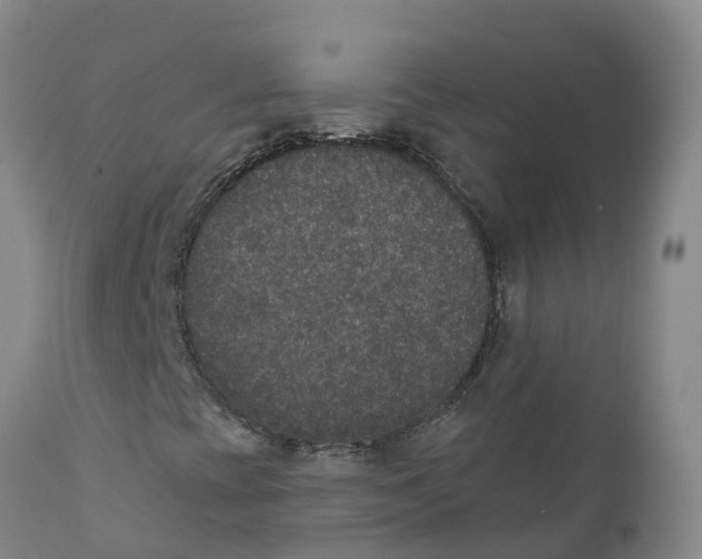 X0000111801393200908131425