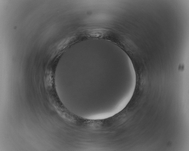X0000111801394200908131425
