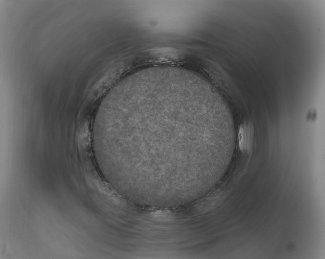 X0000111801395200908131425
