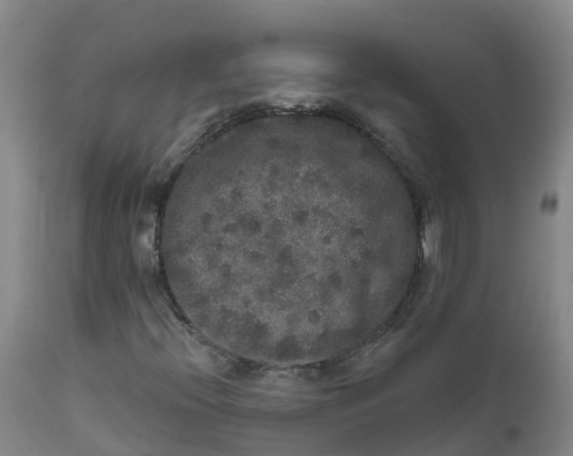 X0000111801396200908131425