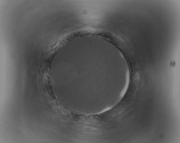 X0000111801397200908131425