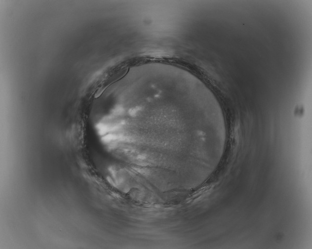 X0000111801398200908131425