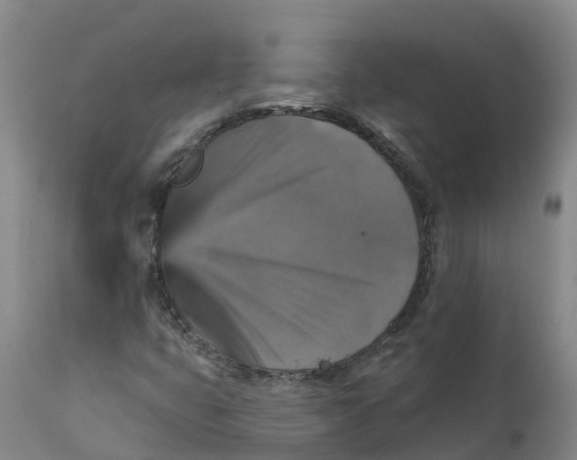 X0000111801399200908131425