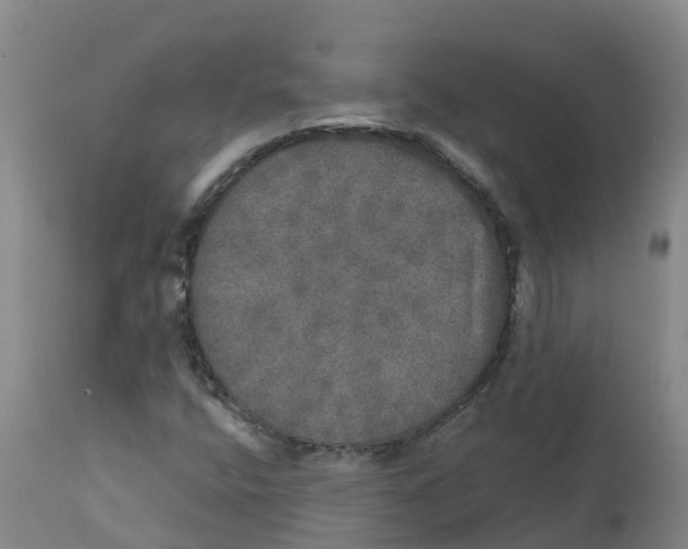 X0000111801400200908131425