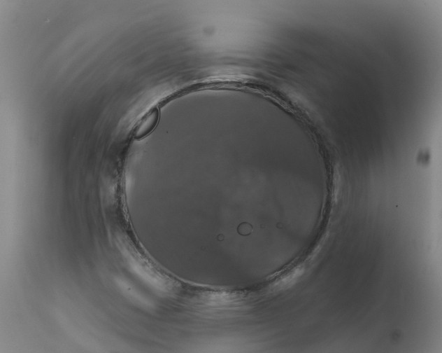 X0000111801401200908131425
