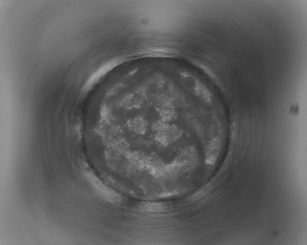 X0000111801402200908131425