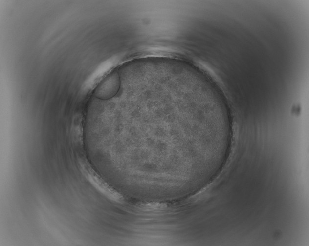 X0000111801403200908131425