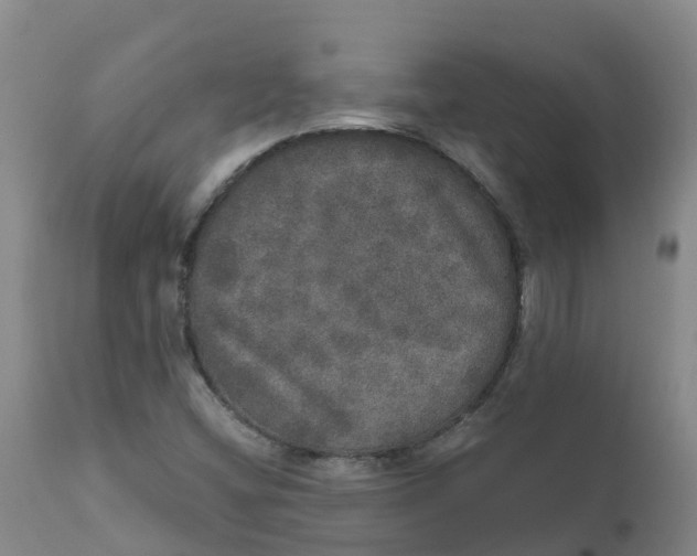 X0000111801404200908131425