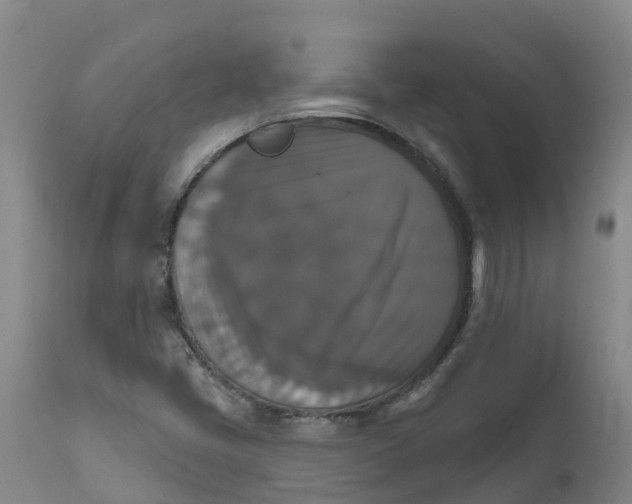 X0000111801405200908131425