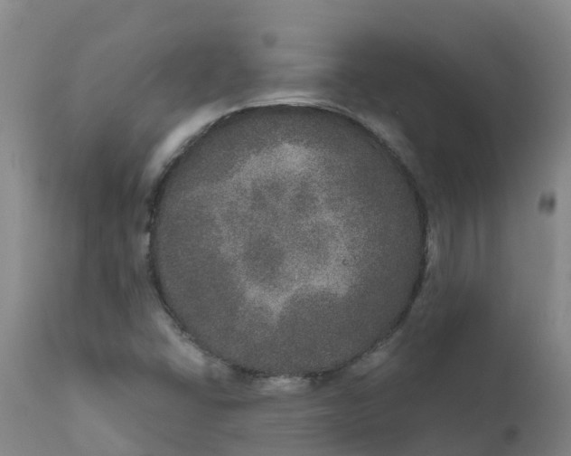 X0000111801406200908131425
