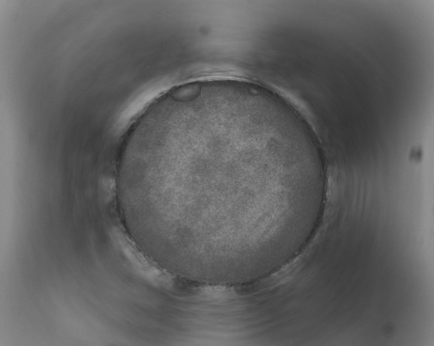 X0000111801407200908131425