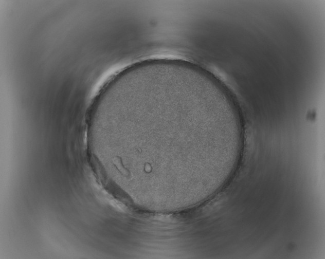 X0000111801408200908131425