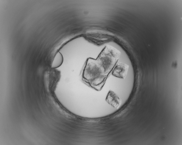 X0000111801409200908131425