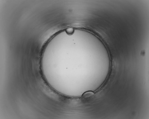 X0000111801410200908131425
