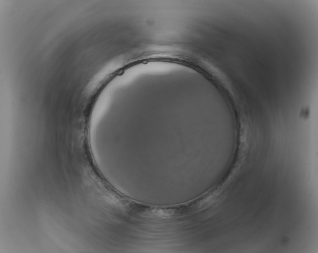 X0000111801411200908131425
