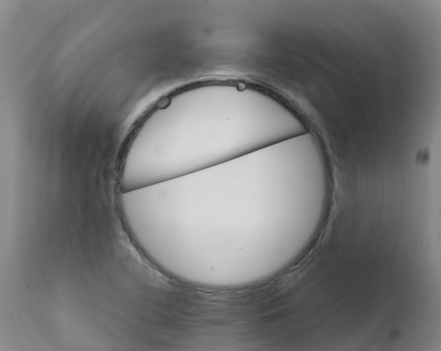 X0000111801412200908131425
