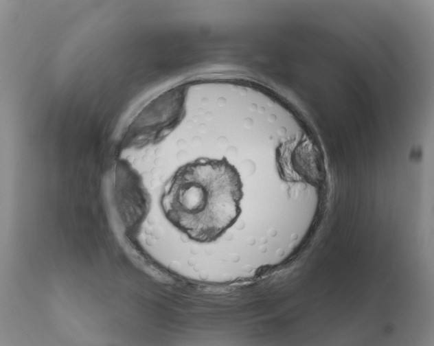 X0000111801413200908131425