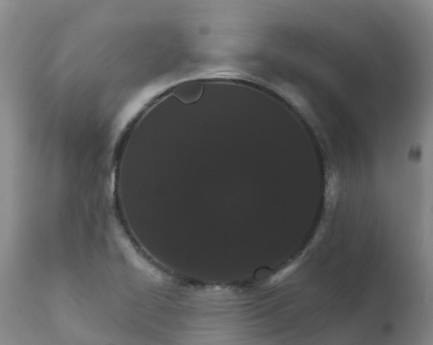 X0000111801414200908131425
