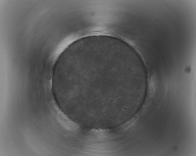 X0000111801415200908131425