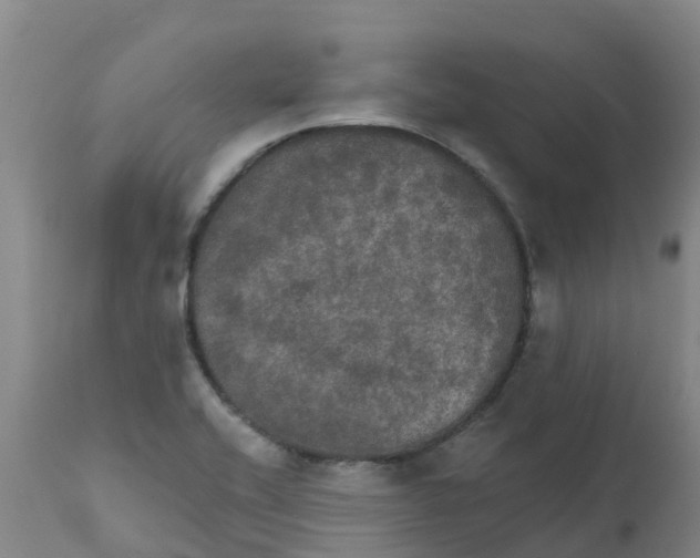 X0000111801416200908131425