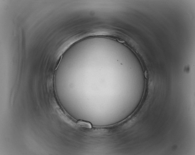X0000111801417200908131425