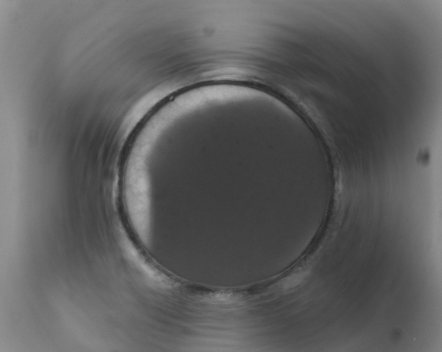 X0000111801418200908131425