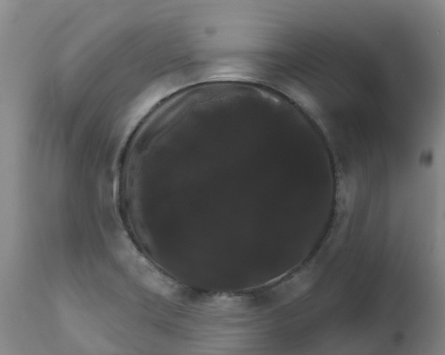 X0000111801419200908131425