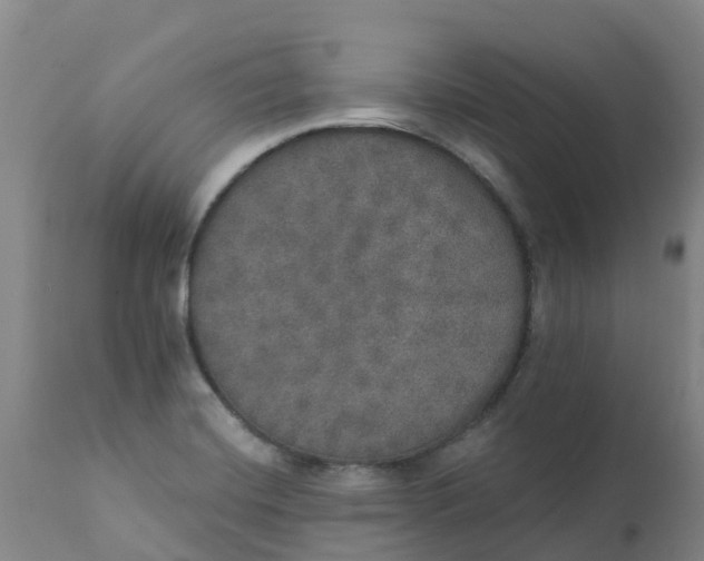 X0000111801420200908131425