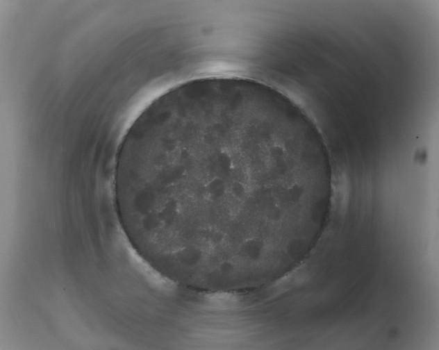 X0000111801421200908131425