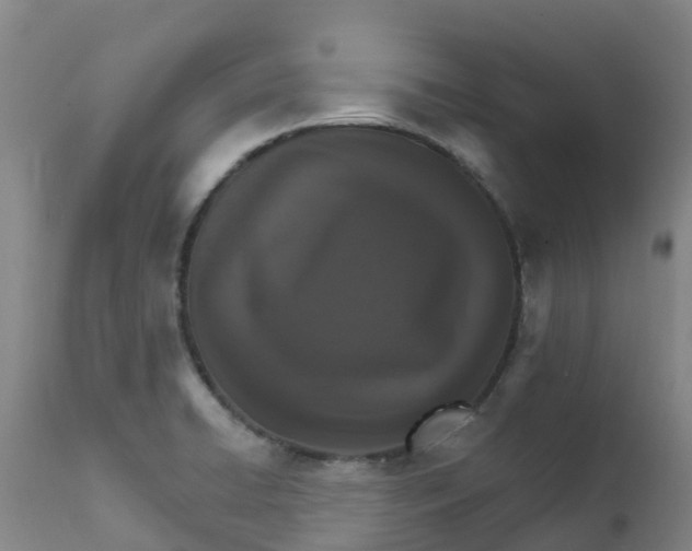 X0000111801422200908131425