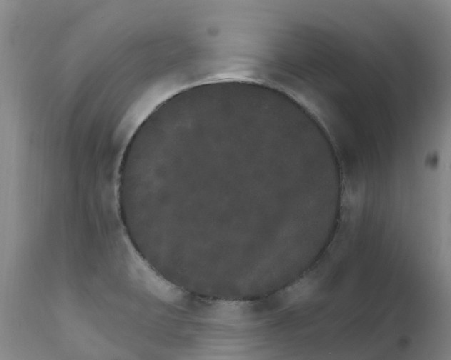 X0000111801423200908131425