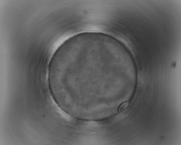 X0000111801424200908131425