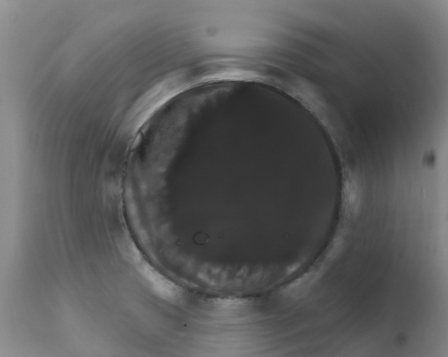 X0000111801425200908131425