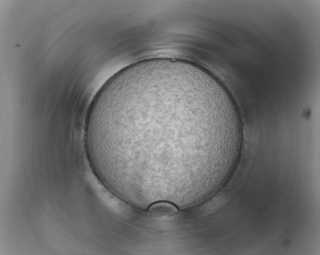 X0000111801426200908131425