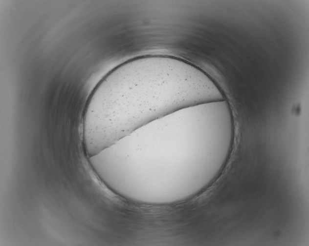 X0000111801428200908131426