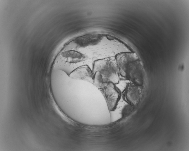 X0000111801429200908131426