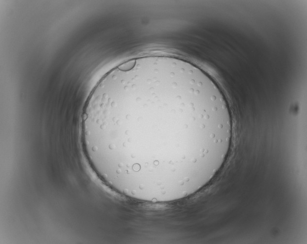 X0000111801431200908131426