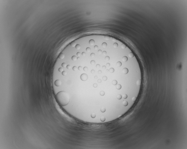 X0000111801433200908131426
