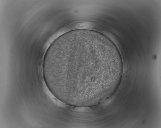 X0000111801434200908131426