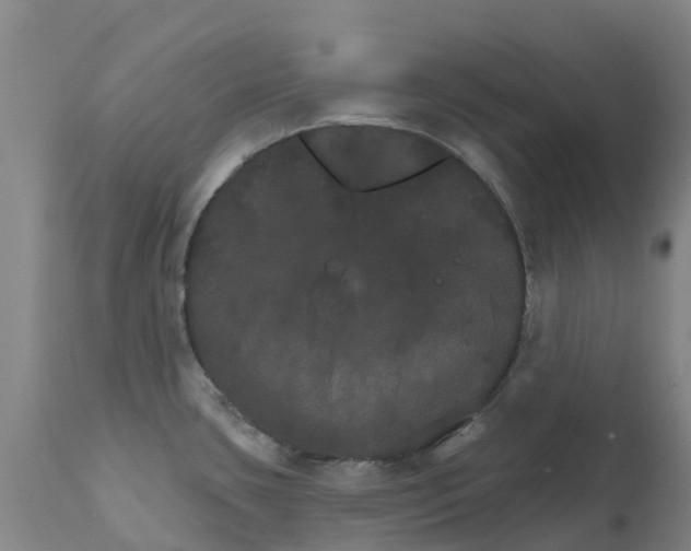 X0000111801435200908131426