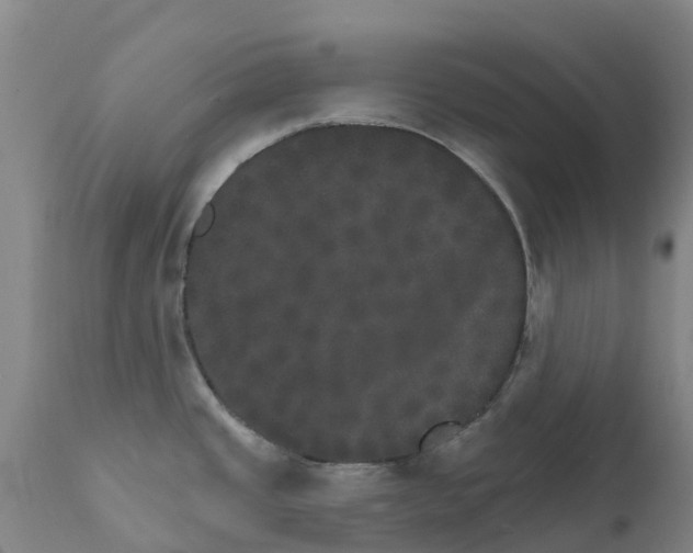 X0000111801437200908131426