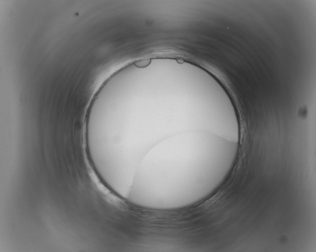 X0000111801439200908131426