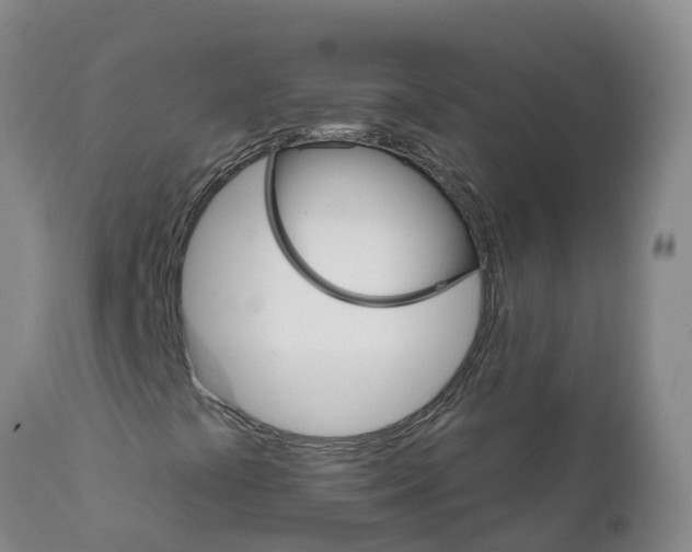 X0000111801441200908131425