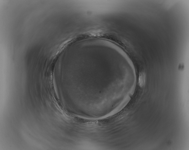 X0000111801444200908131425
